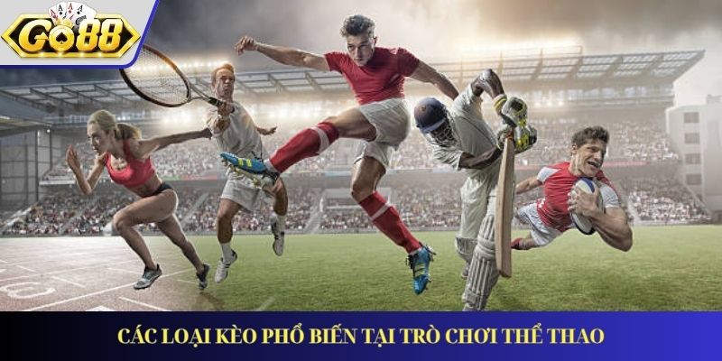 Các loại kèo phổ biến tại trò chơi thể thao