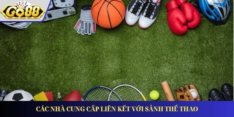 Các nhà cung cấp liên kết với sảnh thể thao