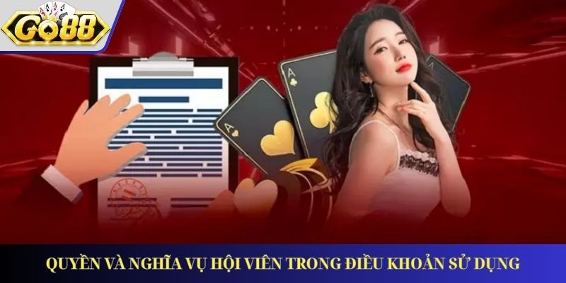 Quyền và nghĩa vụ hội viên trong điều khoản sử dụng